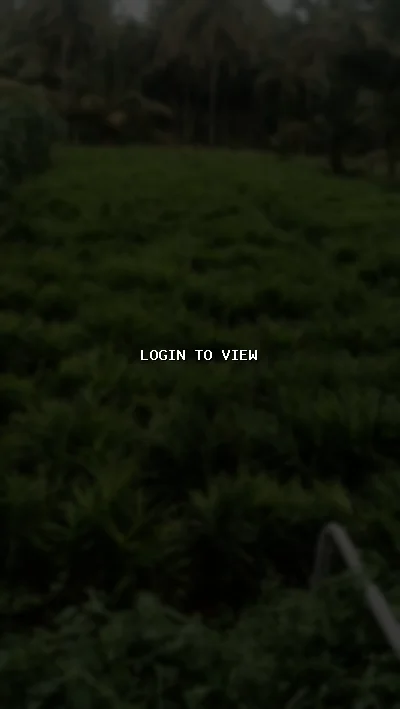 Vanish - Hindu Matrimony Profile Photo